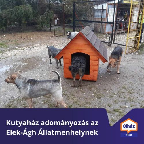 Adománygyűjtés a rászorulókért
