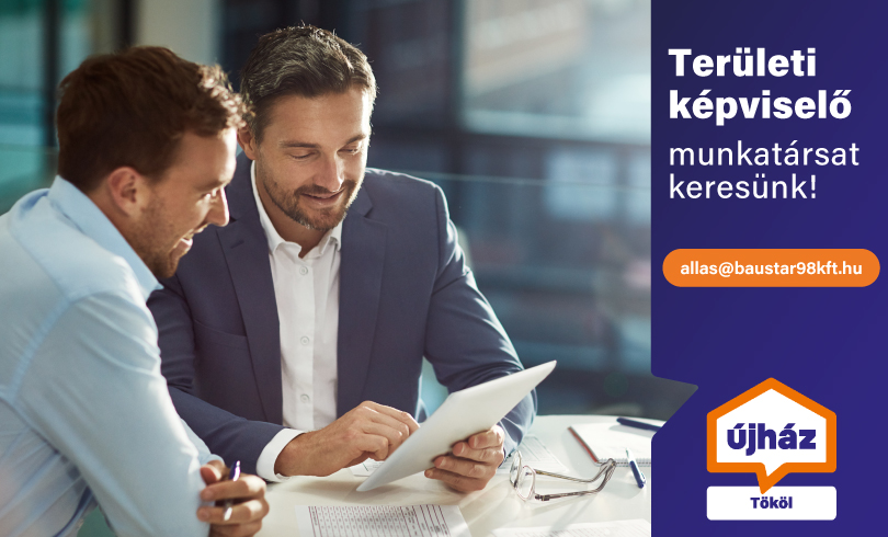 Területi képviselő